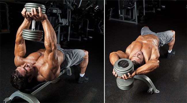dumbbell pullovers imuscle